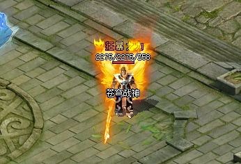 sf传奇网站战士新流派
